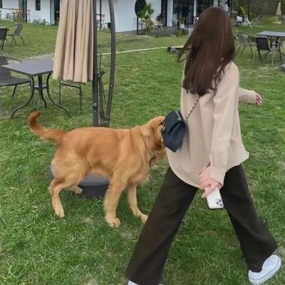形影不离国语